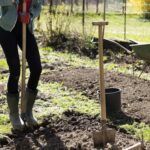 6 надежных способов восстановить плодородие вашего сада этой весной