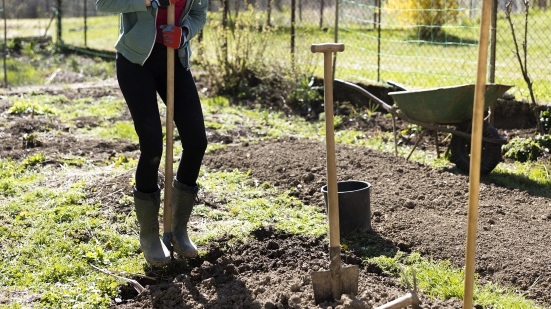 6 надежных способов восстановить плодородие вашего сада этой весной