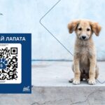 Fibank поддерживает кампанию «Scan the Paw» в защиту животных