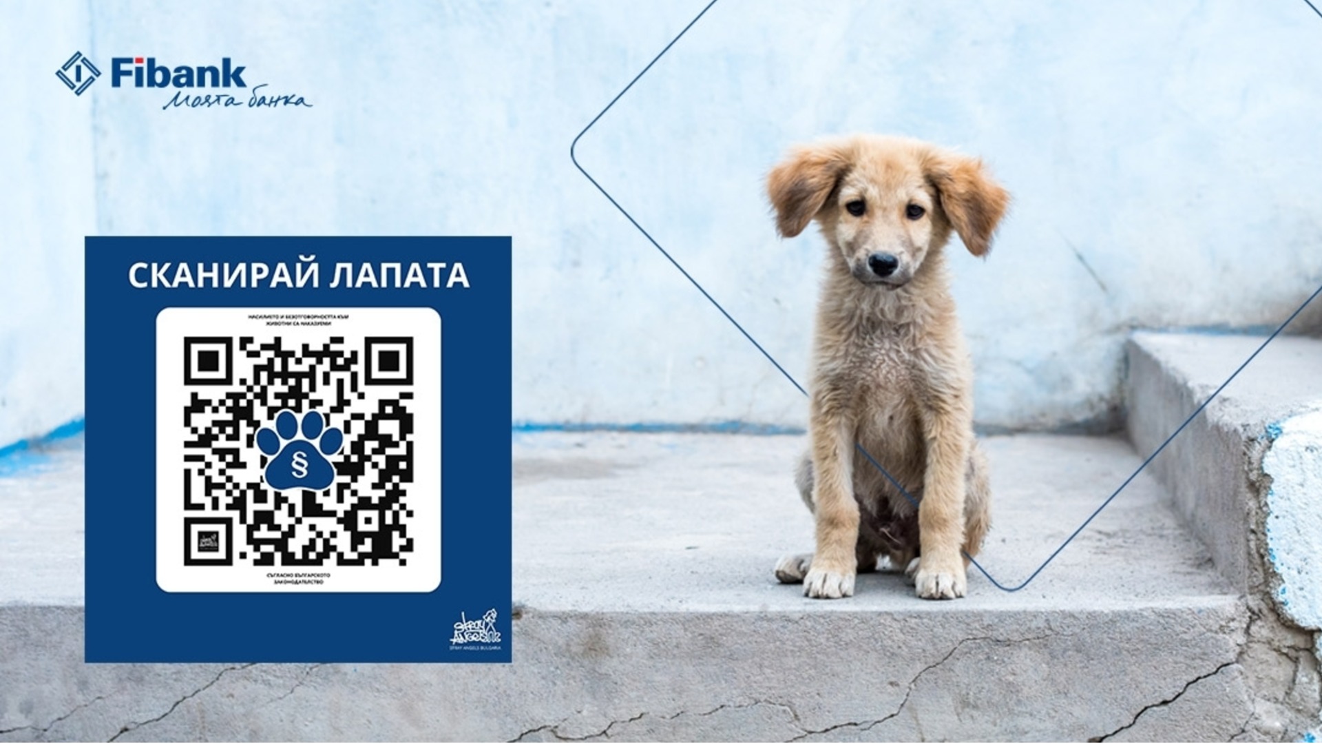 Fibank поддерживает кампанию «Scan the Paw» в защиту животных