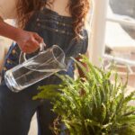 Как сделать «живую» воду для растений