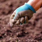 Как правильно выбрать удобрение для растений
