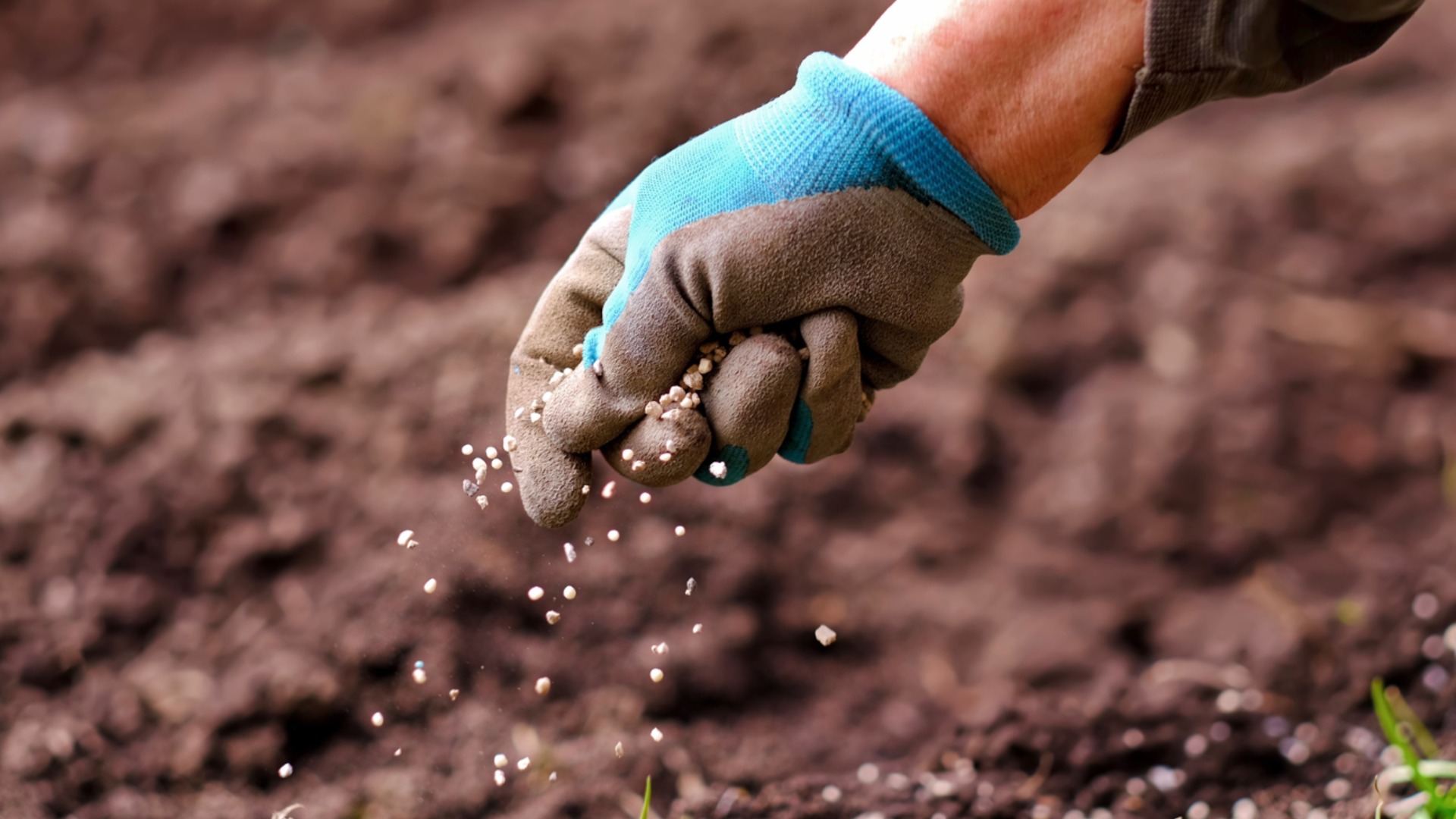 Как правильно выбрать удобрение для растений