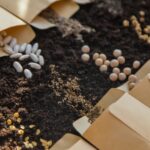 Как определить, пригодны ли старые семена для посадки