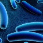 Болезнь легионеров: как уберечься от заражения?