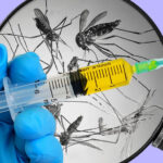 Новая вакцина против малярии показала эффективность в доклинических исследованиях