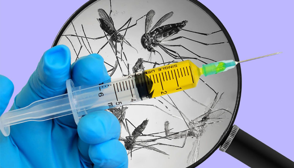 Новая вакцина против малярии показала эффективность в доклинических исследованиях