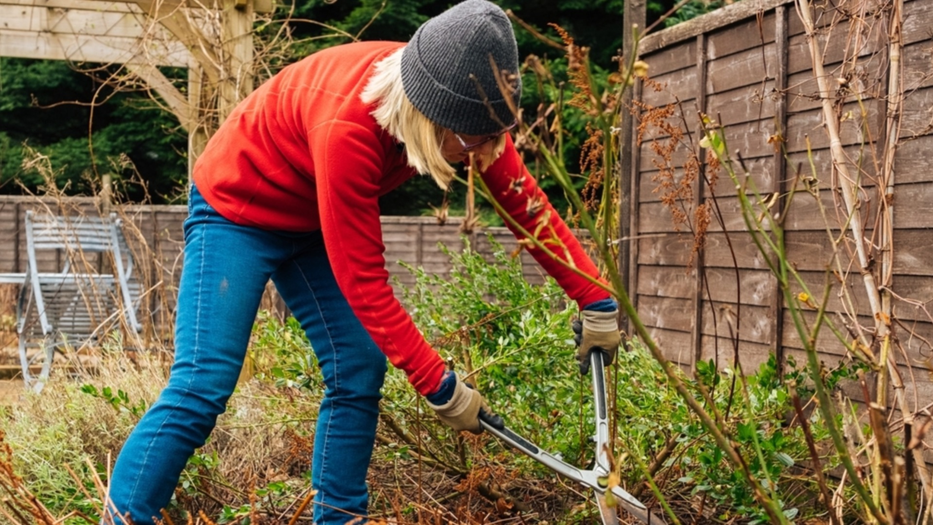 4 обязательных дела в саду в феврале