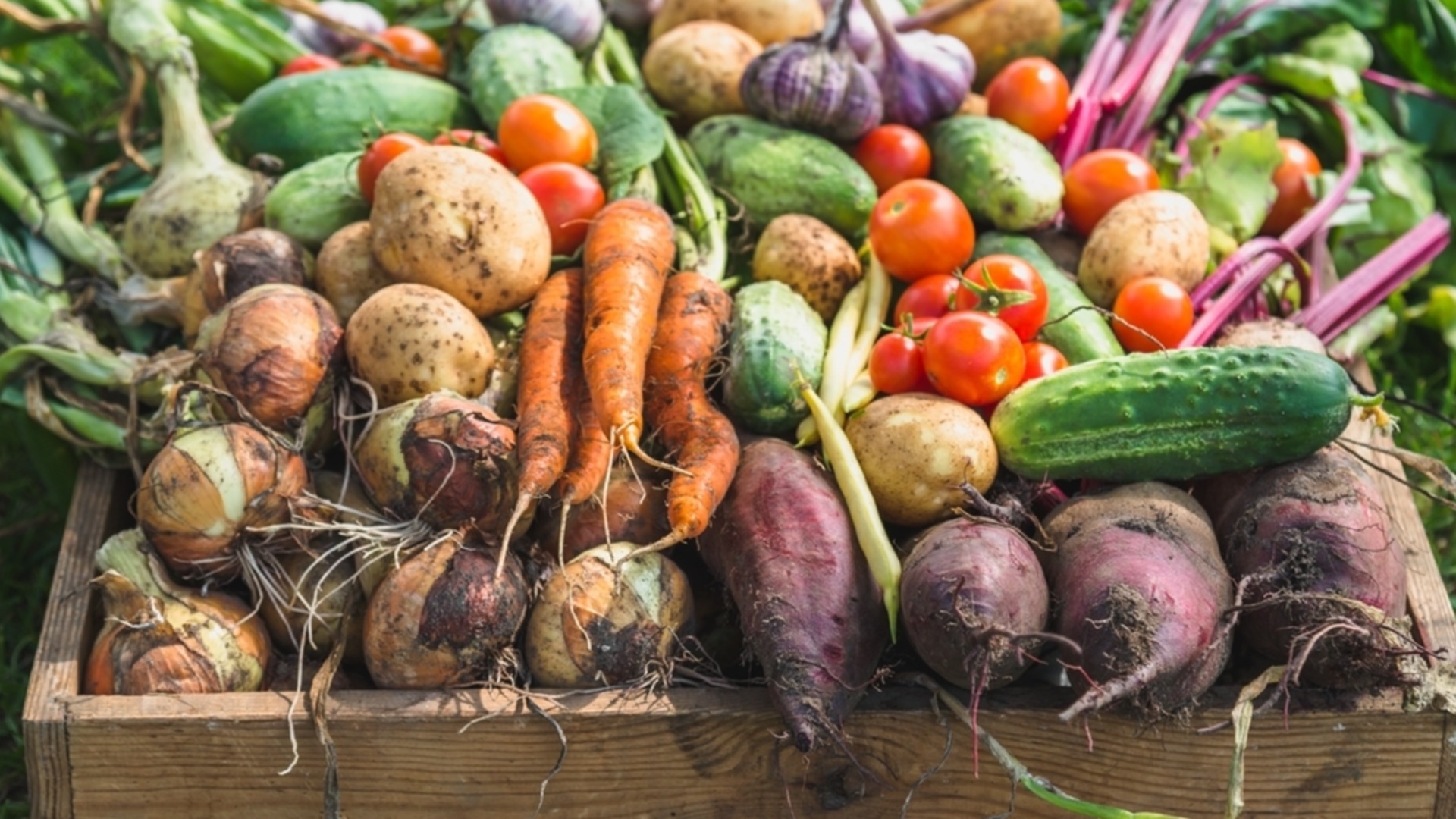 Многолетние овощи, которые нужно сажать, чтобы получать вкусный урожай год за годом