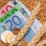 Пшеница и кукуруза дорожают на мировых рынках