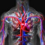 Холодные руки и ноги? Вот как можно легко стимулировать кровообращение