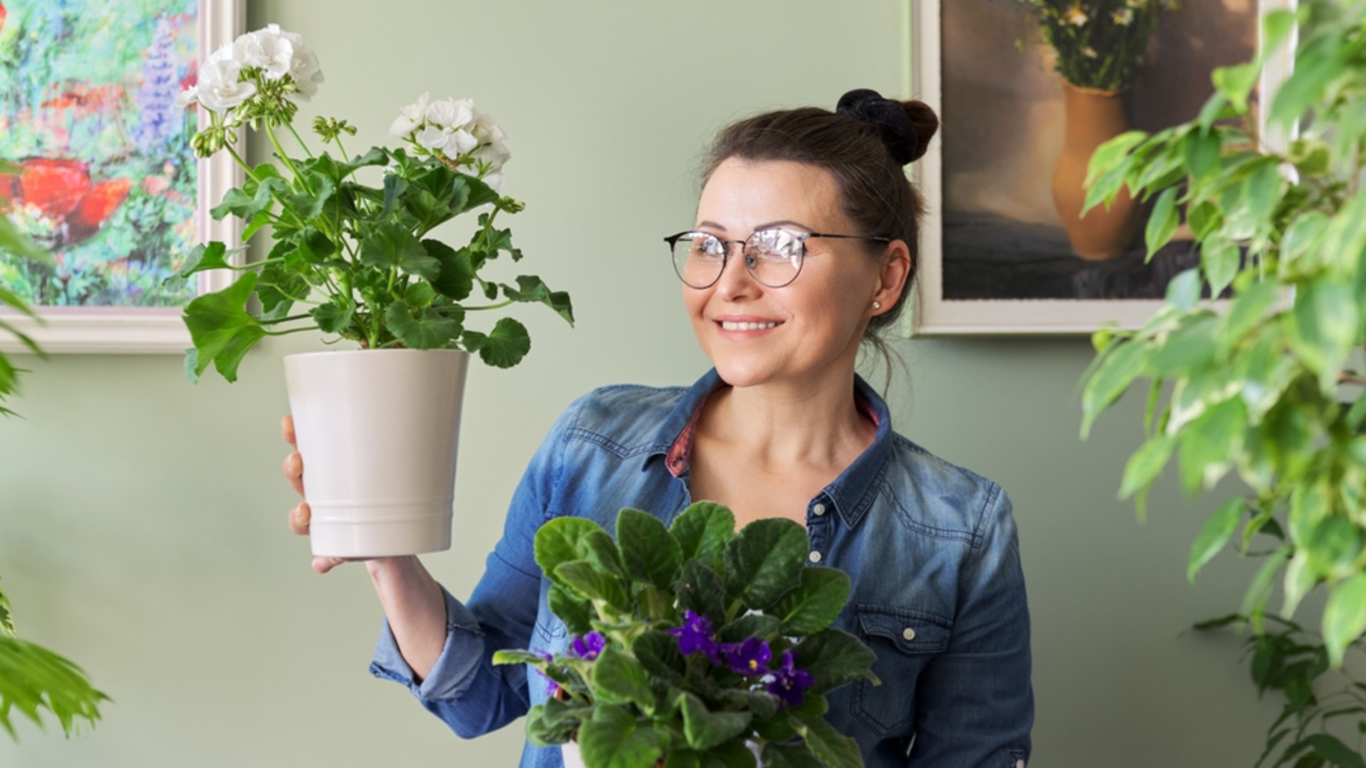 6 комнатных растений, которые никогда не следует покупать, если у вас аллергия