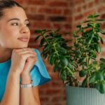 Уловка, чтобы сделать нефритовое растение толще