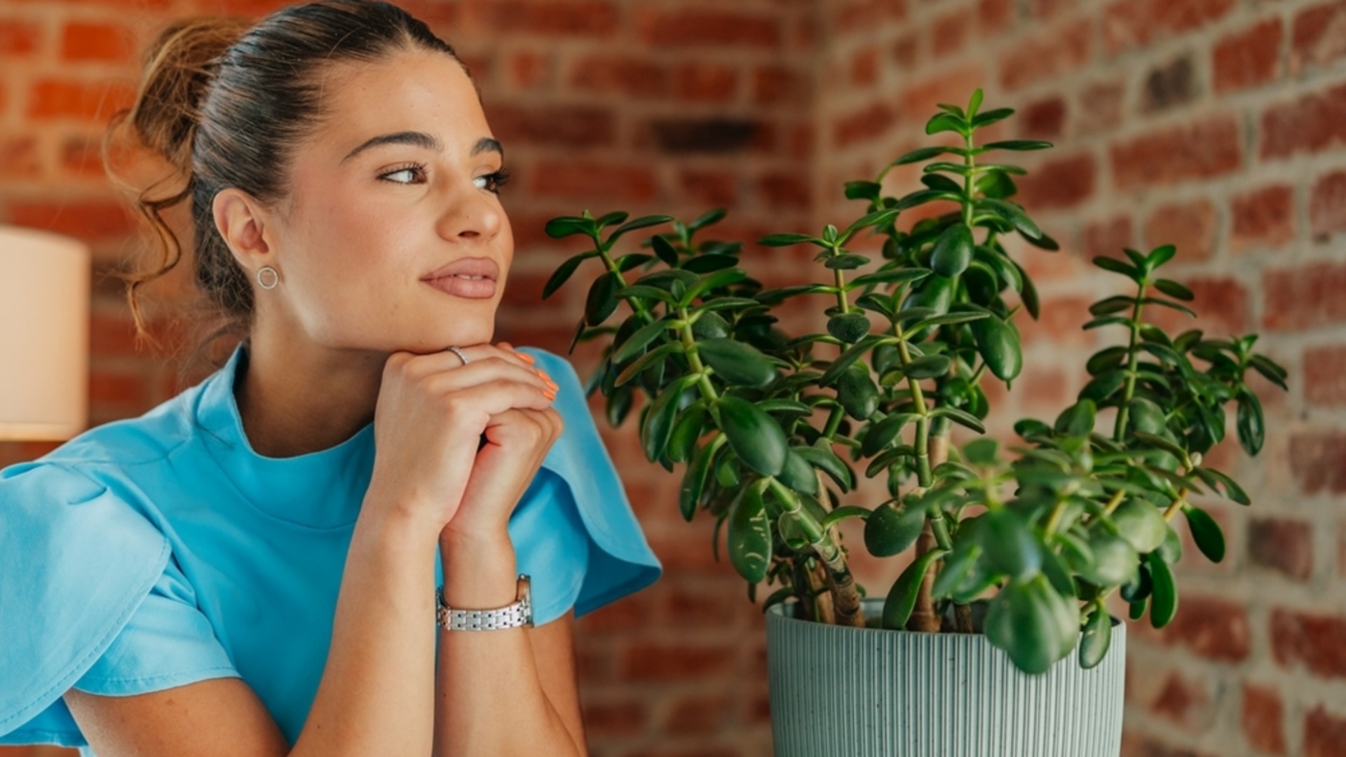 Уловка, чтобы сделать нефритовое растение толще