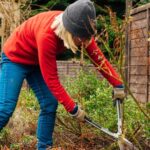 Задачи весеннего садоводства, которые сделают ваши растения и цветы здоровее
