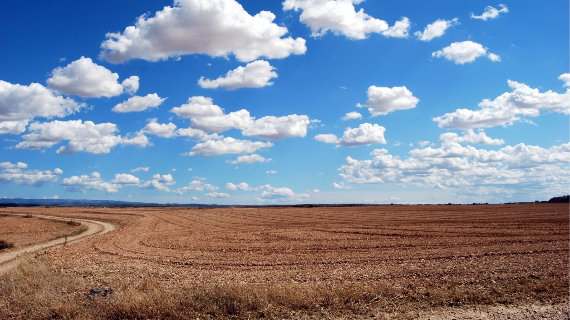 АГРИОН предлагает в аренду и в аренду сельскохозяйственные земли в разных регионах страны.