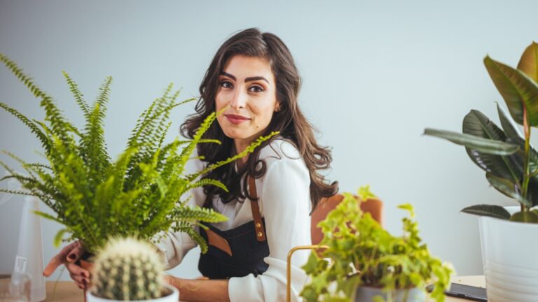 Потрясающее комнатное растение, способное пережить даже холодные зимние месяцы.