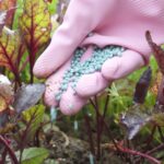 Удобрения портятся? 10 советов, как продлить срок годности