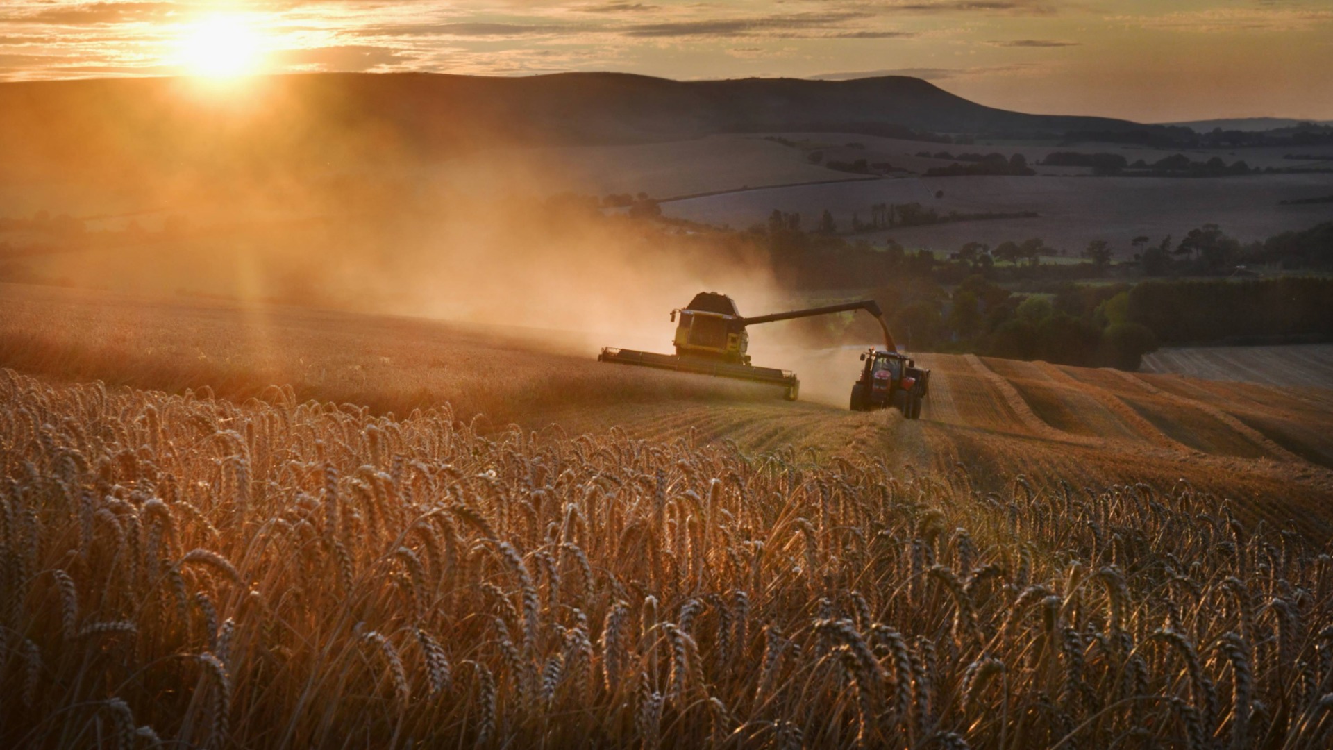 Виртуальное сельское хозяйство, импорт пестицидов и осушенные плотины на заказ: крах болгарского сельского хозяйства