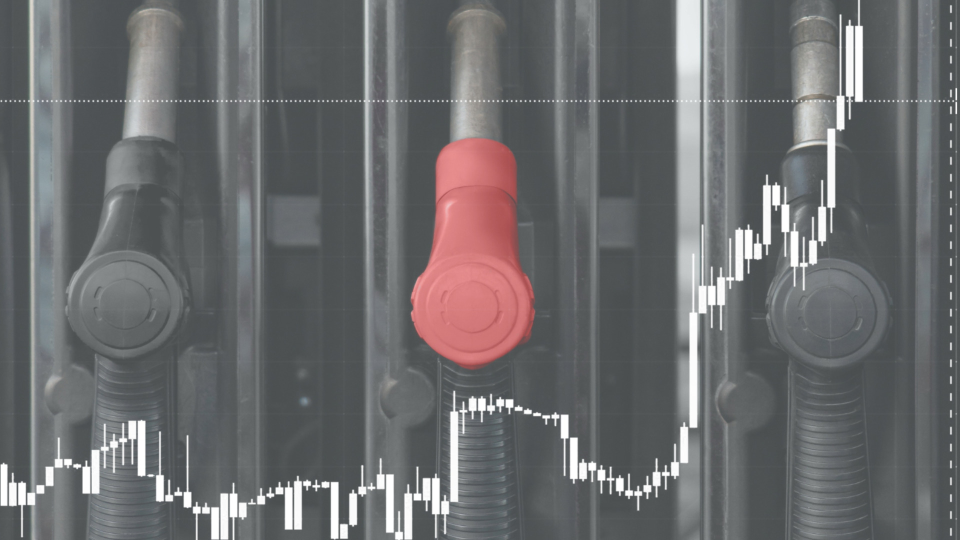 Прогноз акцизного налога. Есть также хорошие новости о ценах на топливо, говорит директор BPGA