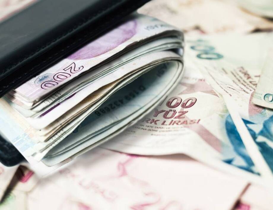 Турецкая лира – Евро. Сколько будет одна турецкая лира в одном евро сегодня, 6 марта /калькулятор валют/