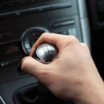 единственная форма, принимаемая языковыми нормами