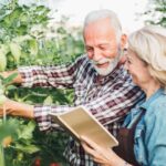 Что такое сопутствующие посадки и какую пользу они принесут вашему саду?