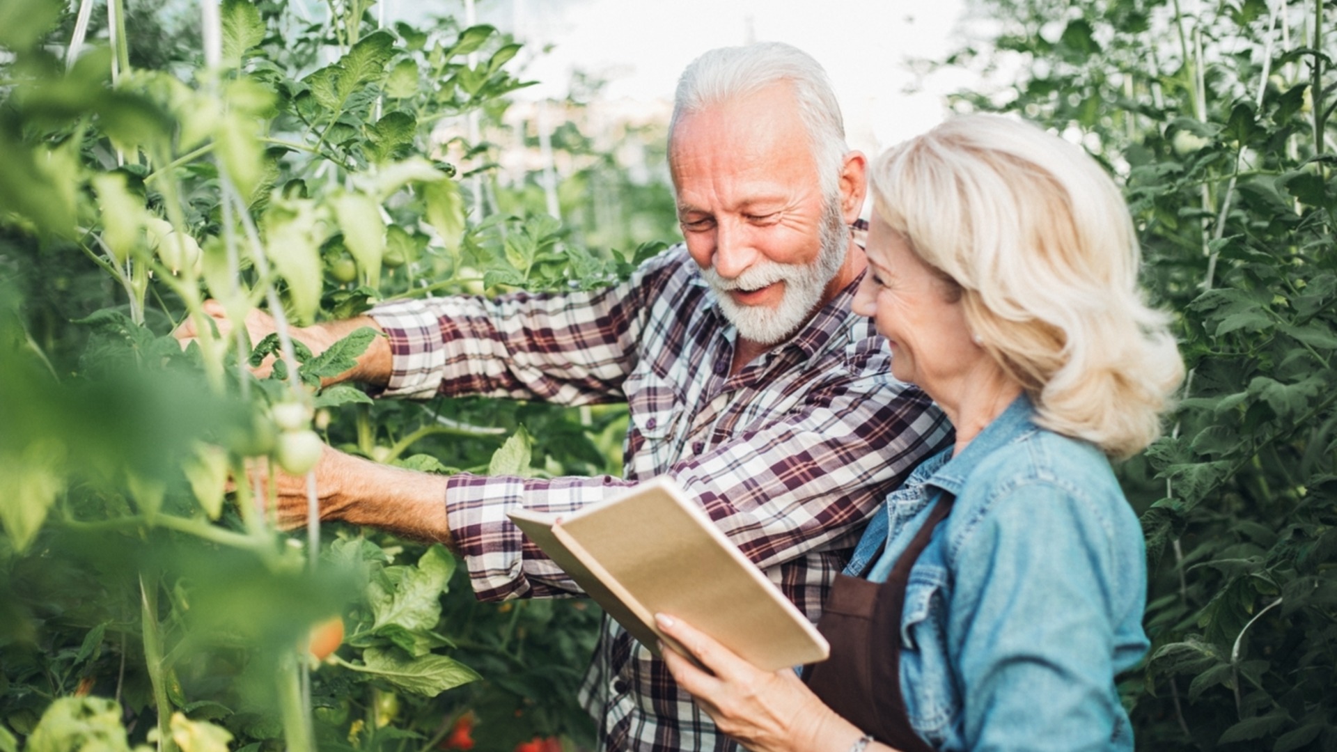 Что такое сопутствующие посадки и какую пользу они принесут вашему саду?