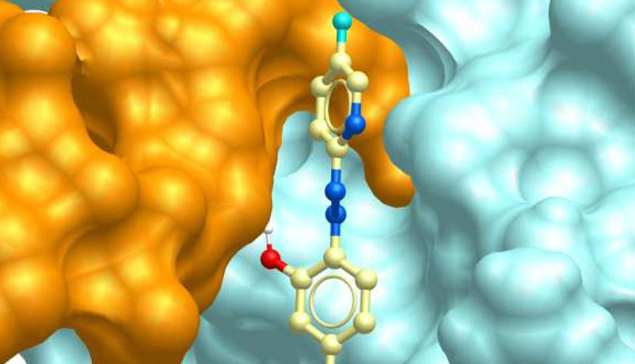 Ученые создали новое лекарство против системной красной волчанки