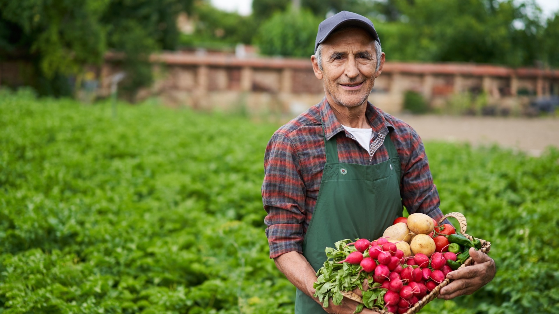 Фермеры обращаются к Андрею Гюрову: Мы не должны остаться без голоса в сельском хозяйстве Европы