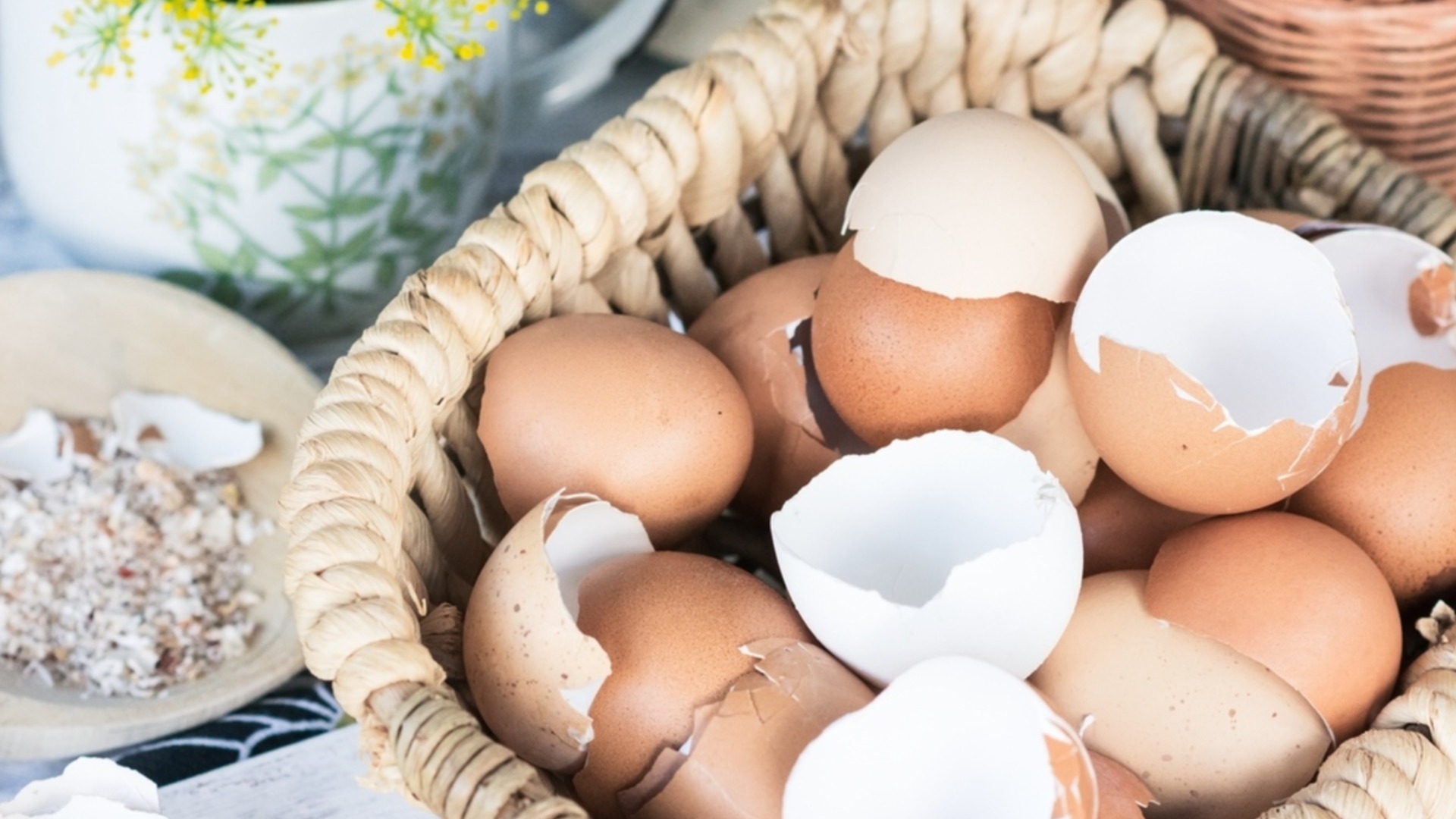 Прежде чем удобрять сад яичной скорлупой, не пропустите этот важный шаг.