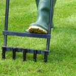 Как избавиться от упорных сорняков, не испортив газон