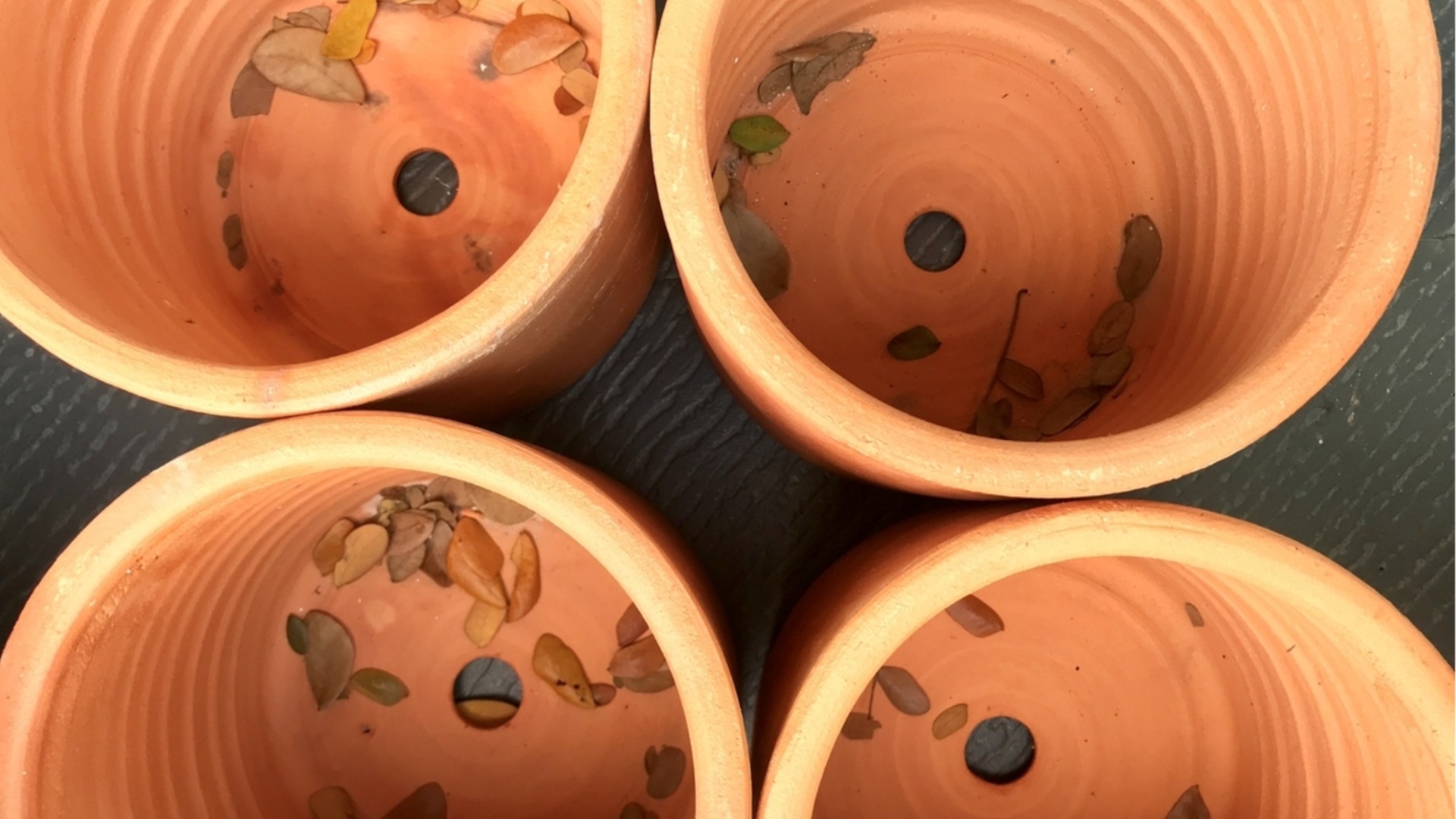 Самый простой способ добавить дренажные отверстия в горшки с растениями.