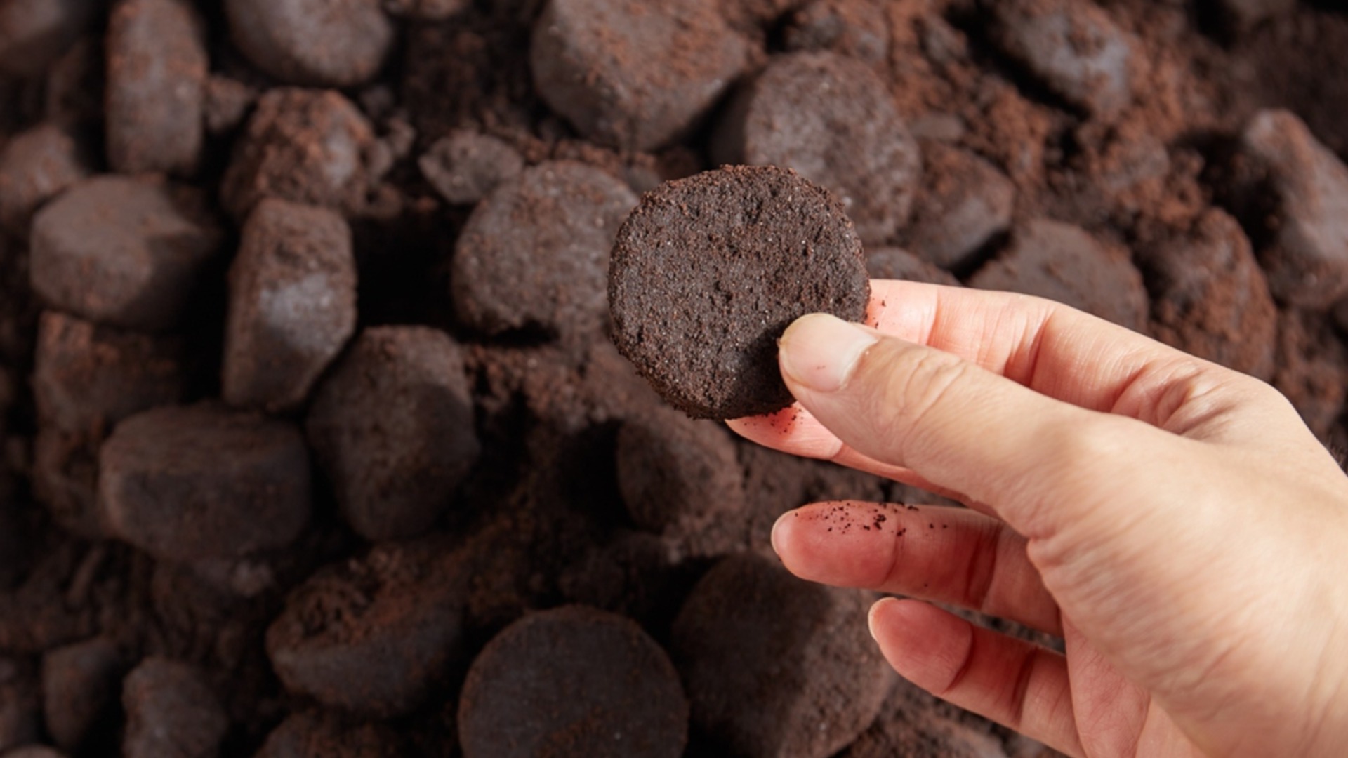 Растения, которые необходимо удобрять кофейной гущей