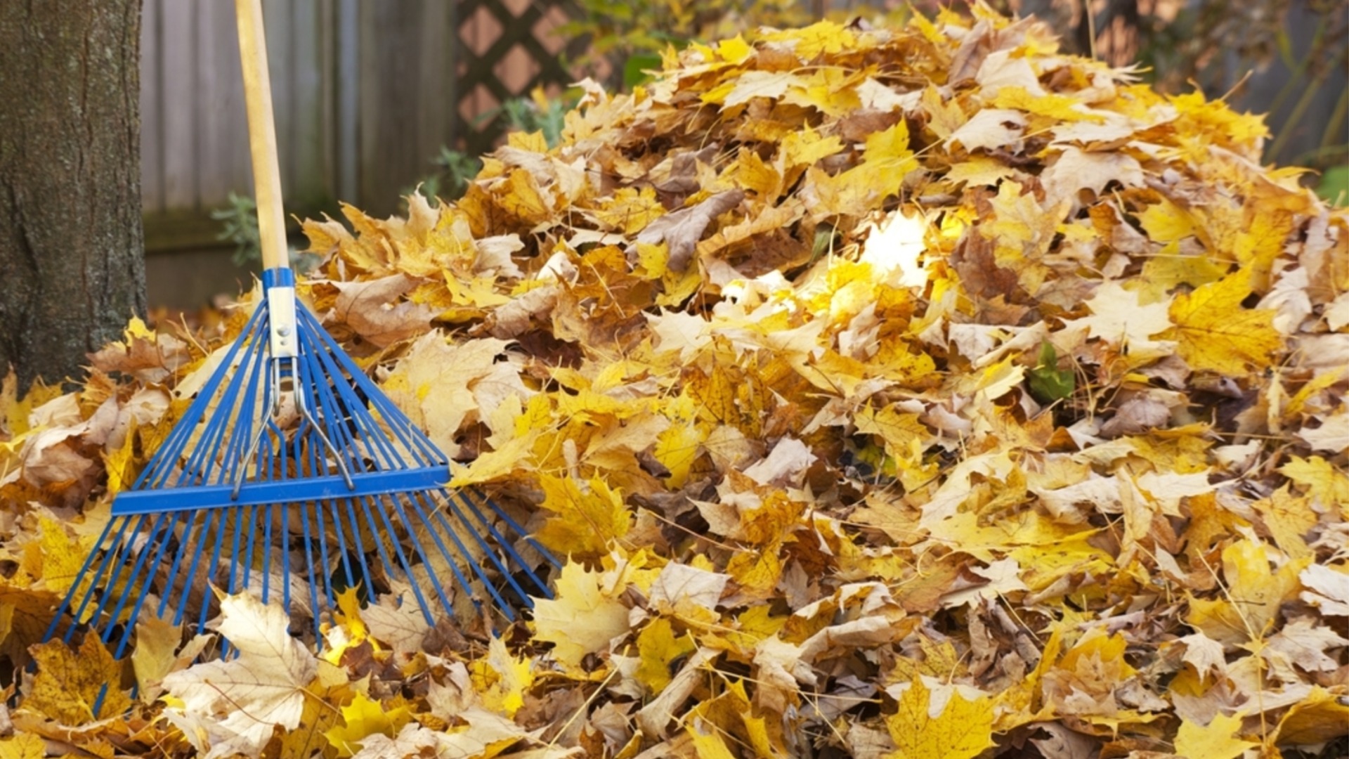 Как компостировать листья, чтобы обогатить садовую почву