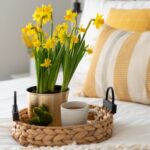 Простой способ вырастить красивые нарциссы в помещении из старой банки.