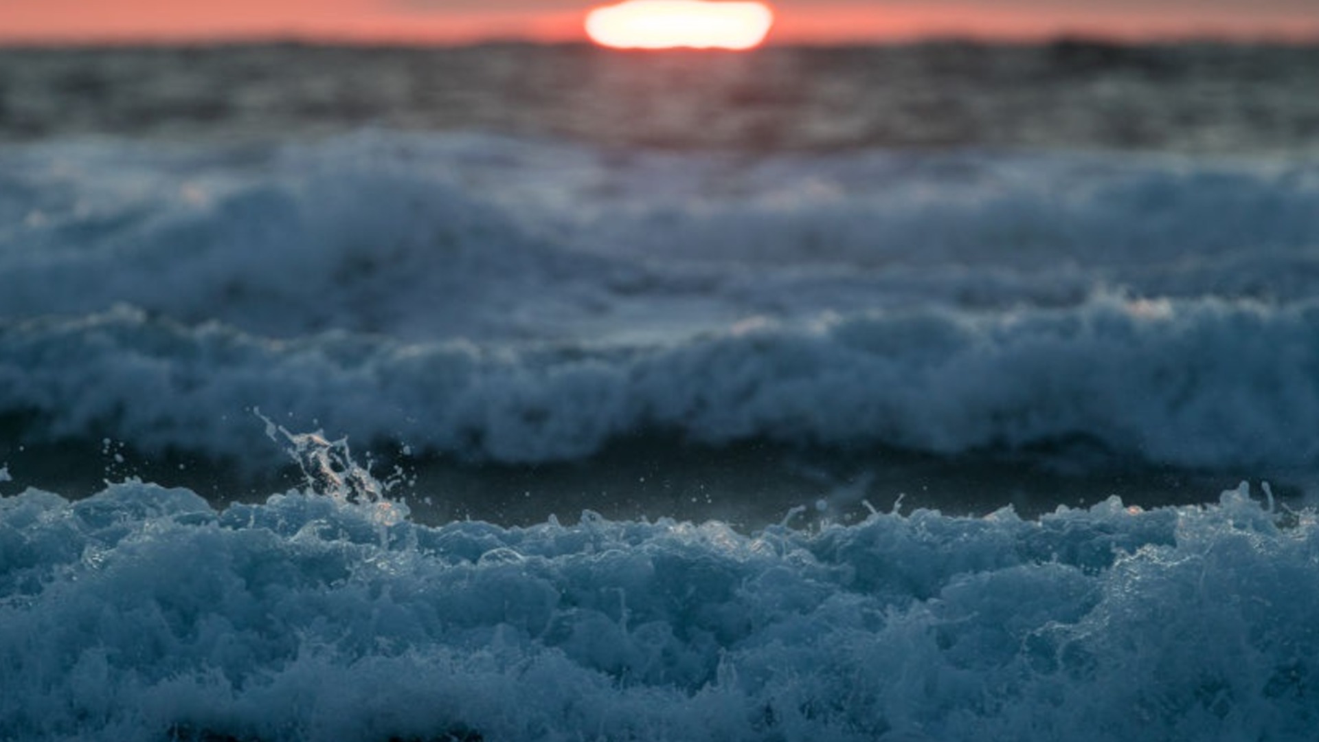 Морской искусственный интеллект представлен на выставке имени Посейдона