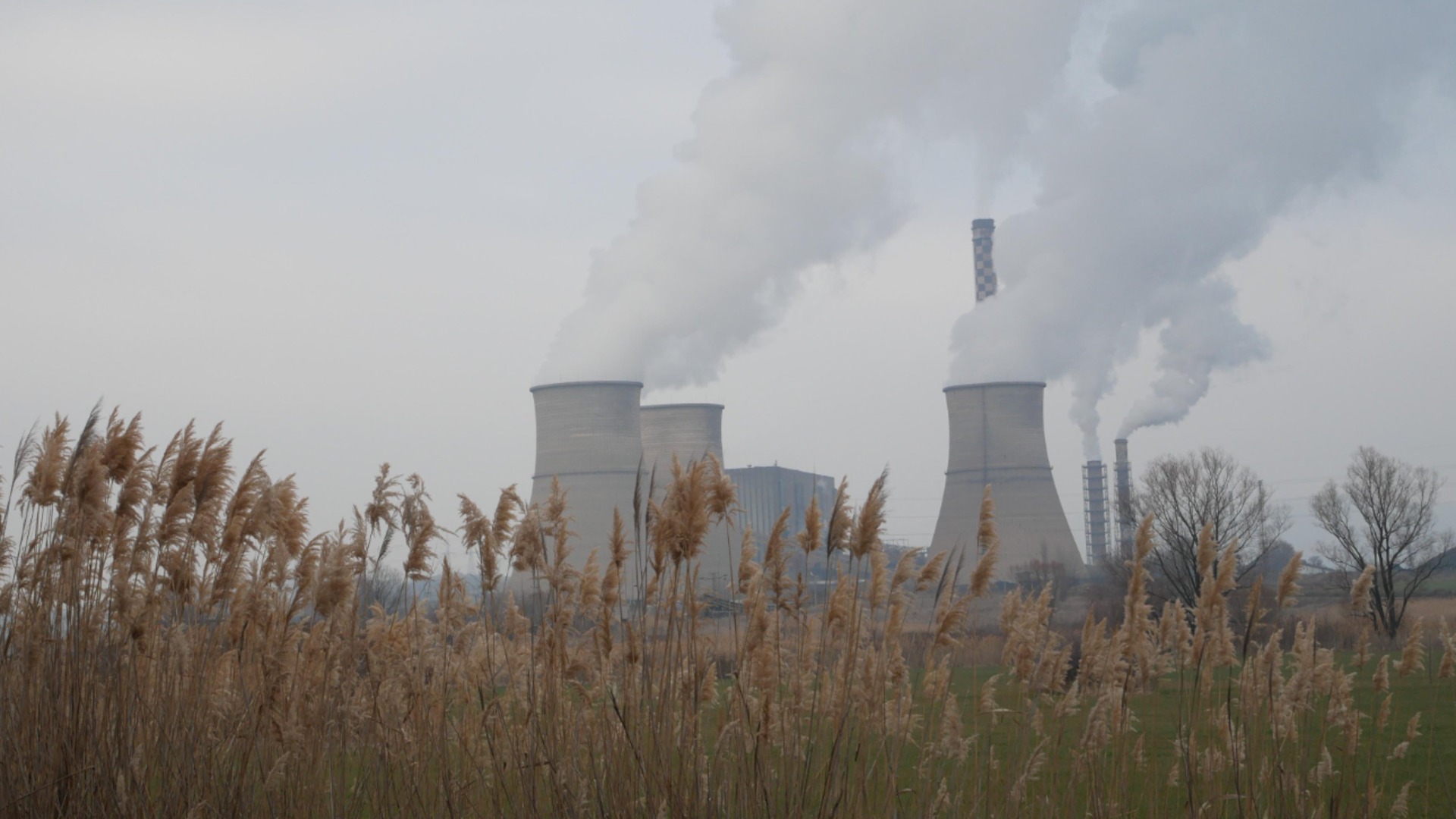 Чтобы не загрязнять окружающую среду: ТЭС «Бобов дол» реконструируют, переводят на газ и солому