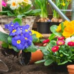 Как ускорить рост садовых растений