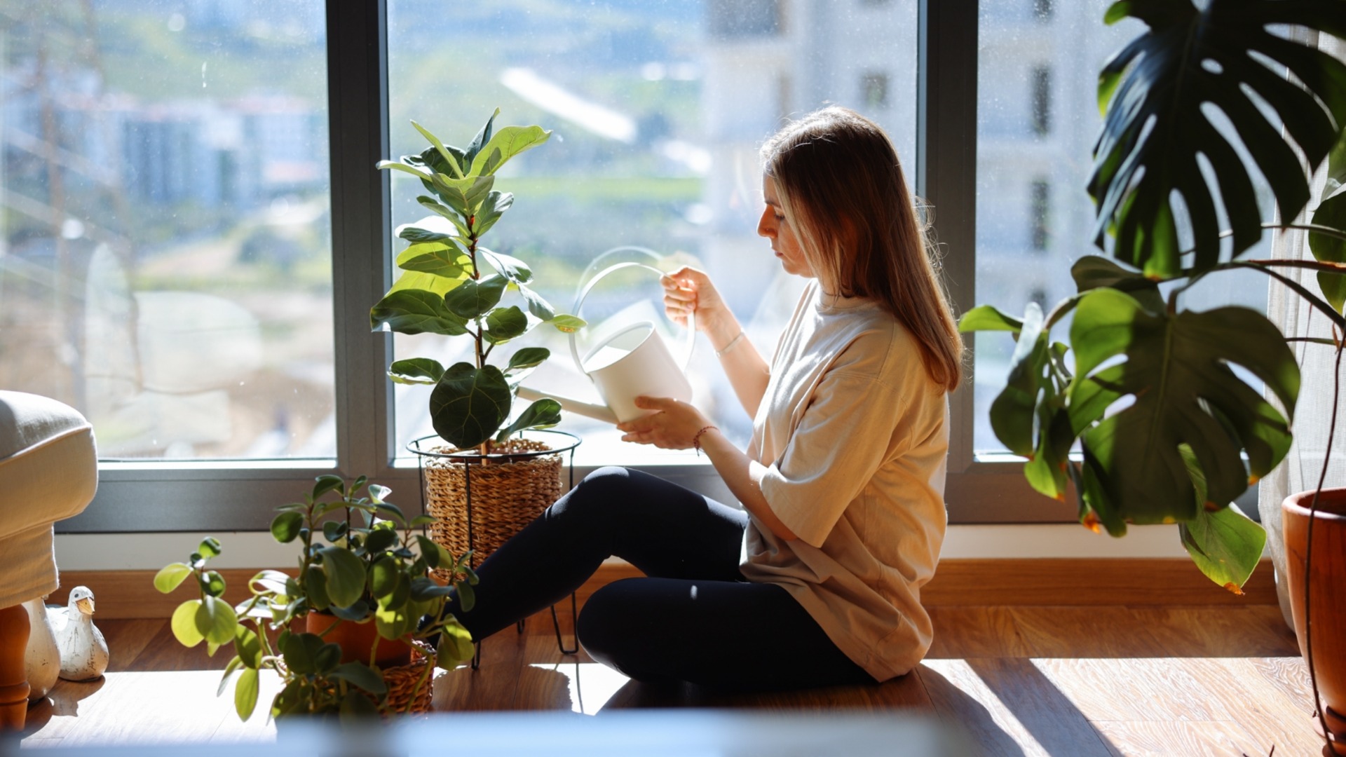 Вот сколько света действительно нужно растениям дома