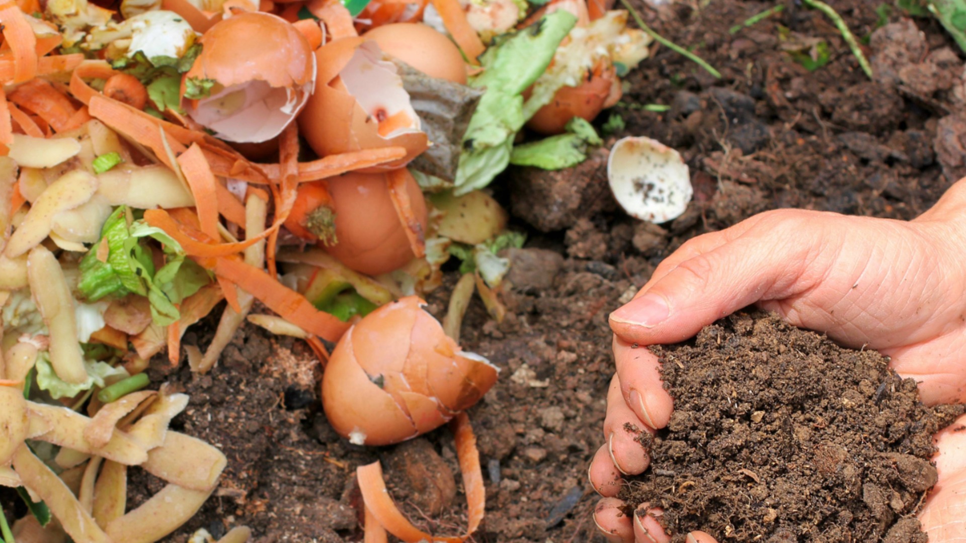 Бесплатный компост с вашего двора