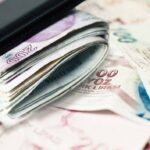 Турецкая лира – Евро. Сколько будет одна турецкая лира в один евро сегодня, 20 апреля /калькулятор валют/