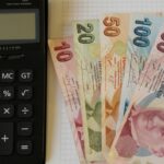 Турецкая лира – Евро. Сколько будет одна турецкая лира в один евро сегодня, 24 апреля /калькулятор валют/