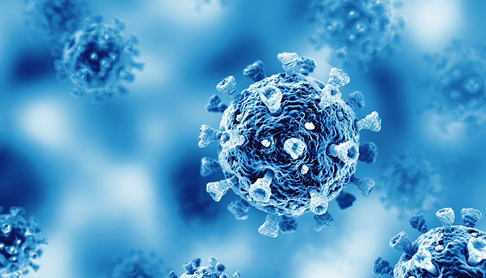 Ученые выделили новый штамм Covid-19, уже появившийся в 23 странах